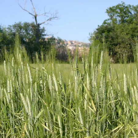 Evviva's House Nyaraló *